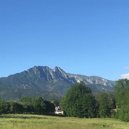 Camping Zakopane Willa Skoczek Oferta Nie Dotyczy Noclegu W Pokoju ,W Namiocie Reczniki Woda Mineralna , Koldra Poduszki Lub Spiwory Eksteriør billede
