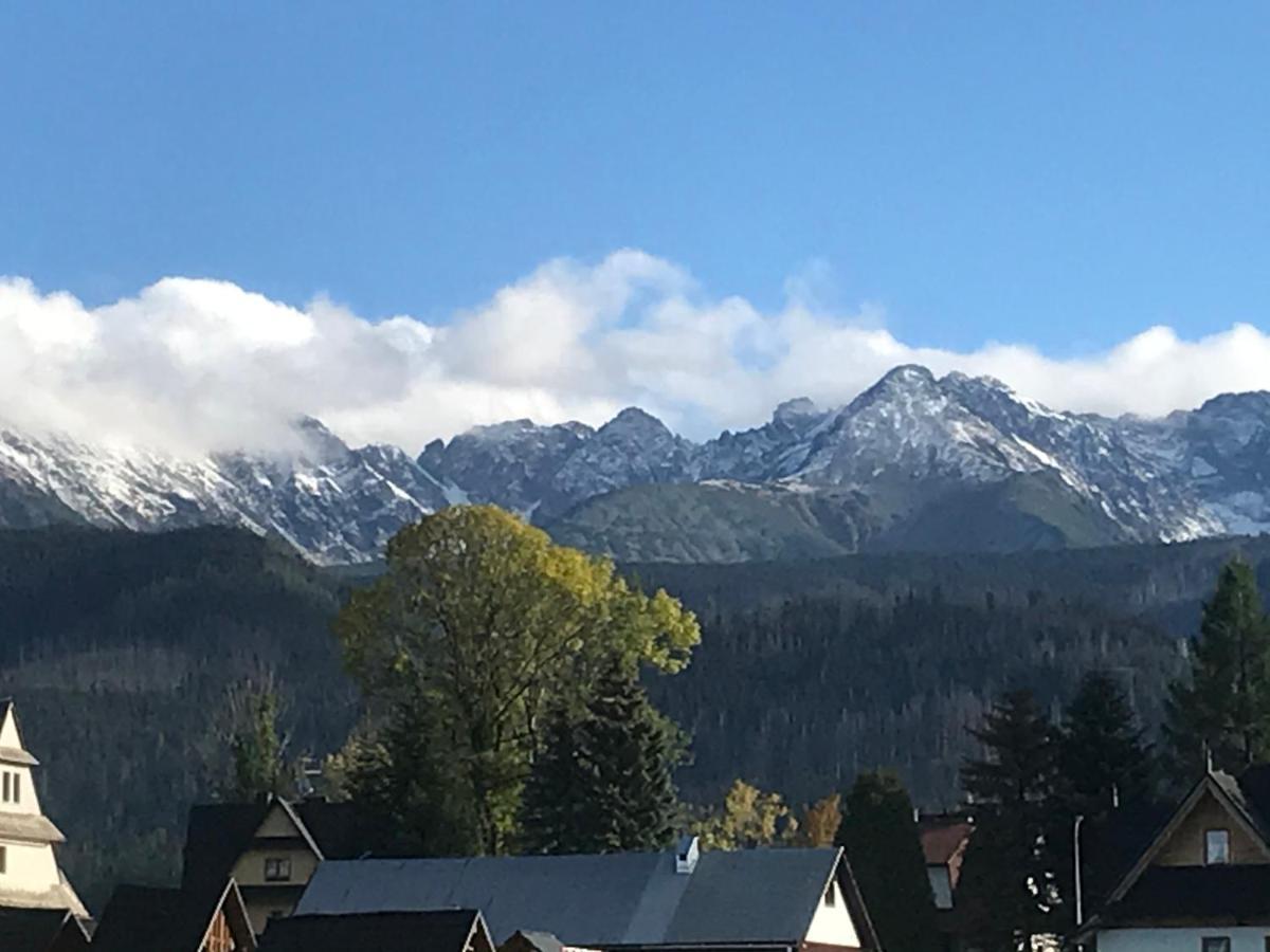 Camping Zakopane Willa Skoczek Oferta Nie Dotyczy Noclegu W Pokoju ,W Namiocie Reczniki Woda Mineralna , Koldra Poduszki Lub Spiwory Eksteriør billede