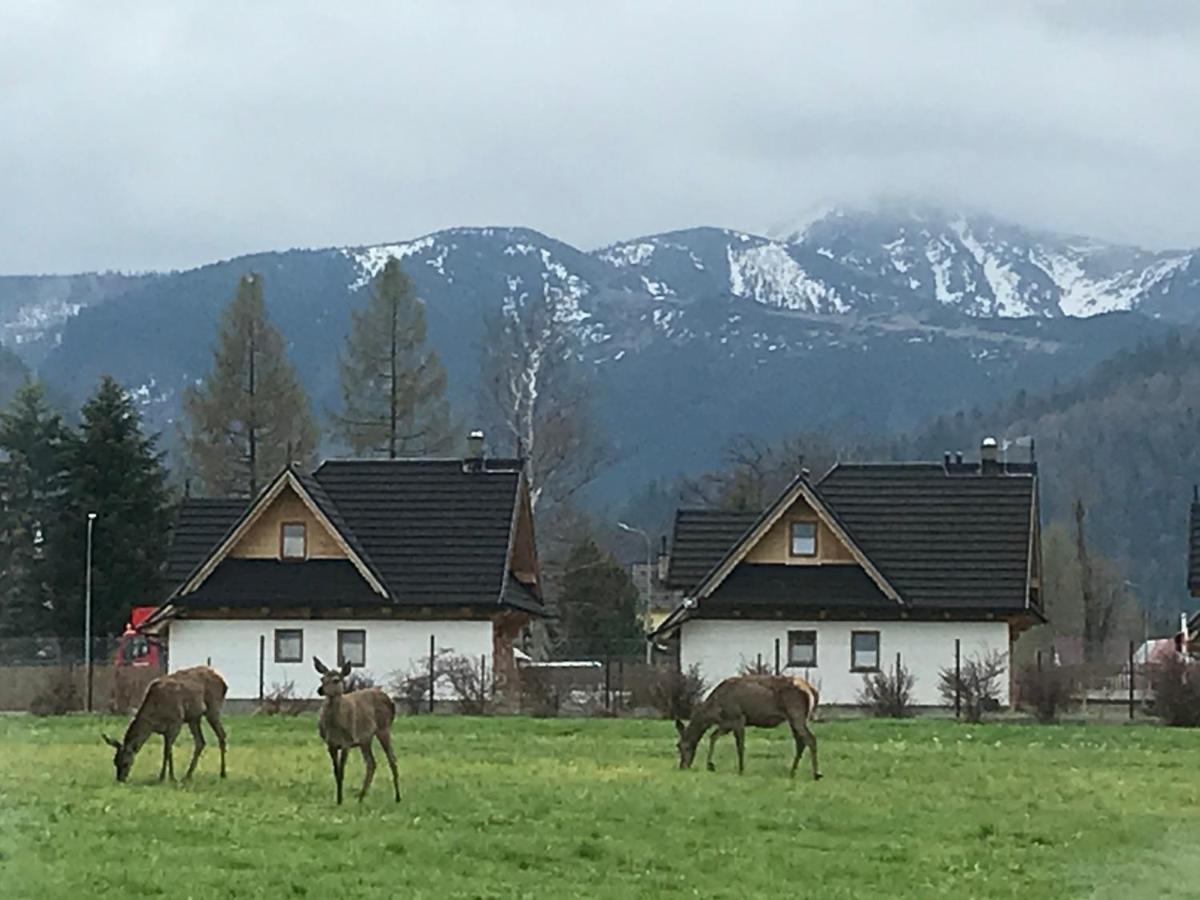 Camping Zakopane Willa Skoczek Oferta Nie Dotyczy Noclegu W Pokoju ,W Namiocie Reczniki Woda Mineralna , Koldra Poduszki Lub Spiwory Eksteriør billede