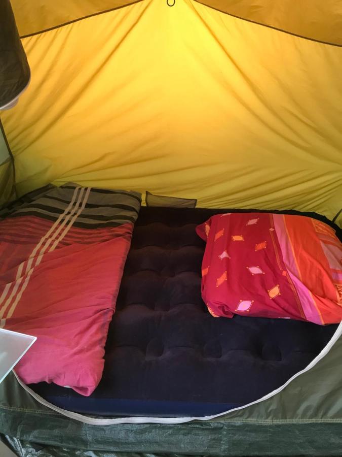 Camping Zakopane Willa Skoczek Oferta Nie Dotyczy Noclegu W Pokoju ,W Namiocie Reczniki Woda Mineralna , Koldra Poduszki Lub Spiwory Eksteriør billede
