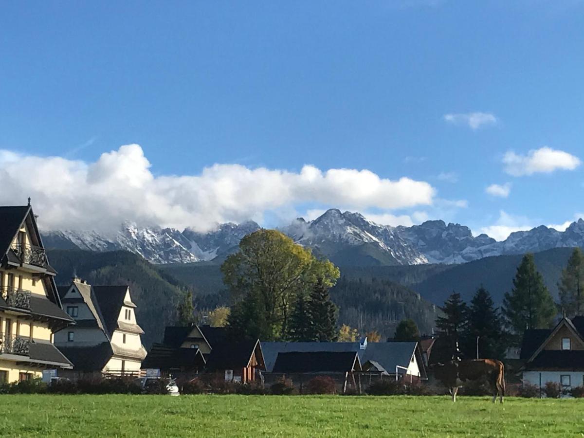 Camping Zakopane Willa Skoczek Oferta Nie Dotyczy Noclegu W Pokoju ,W Namiocie Reczniki Woda Mineralna , Koldra Poduszki Lub Spiwory Eksteriør billede