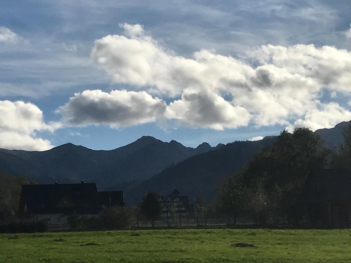 Camping Zakopane Willa Skoczek Oferta Nie Dotyczy Noclegu W Pokoju ,W Namiocie Reczniki Woda Mineralna , Koldra Poduszki Lub Spiwory Eksteriør billede