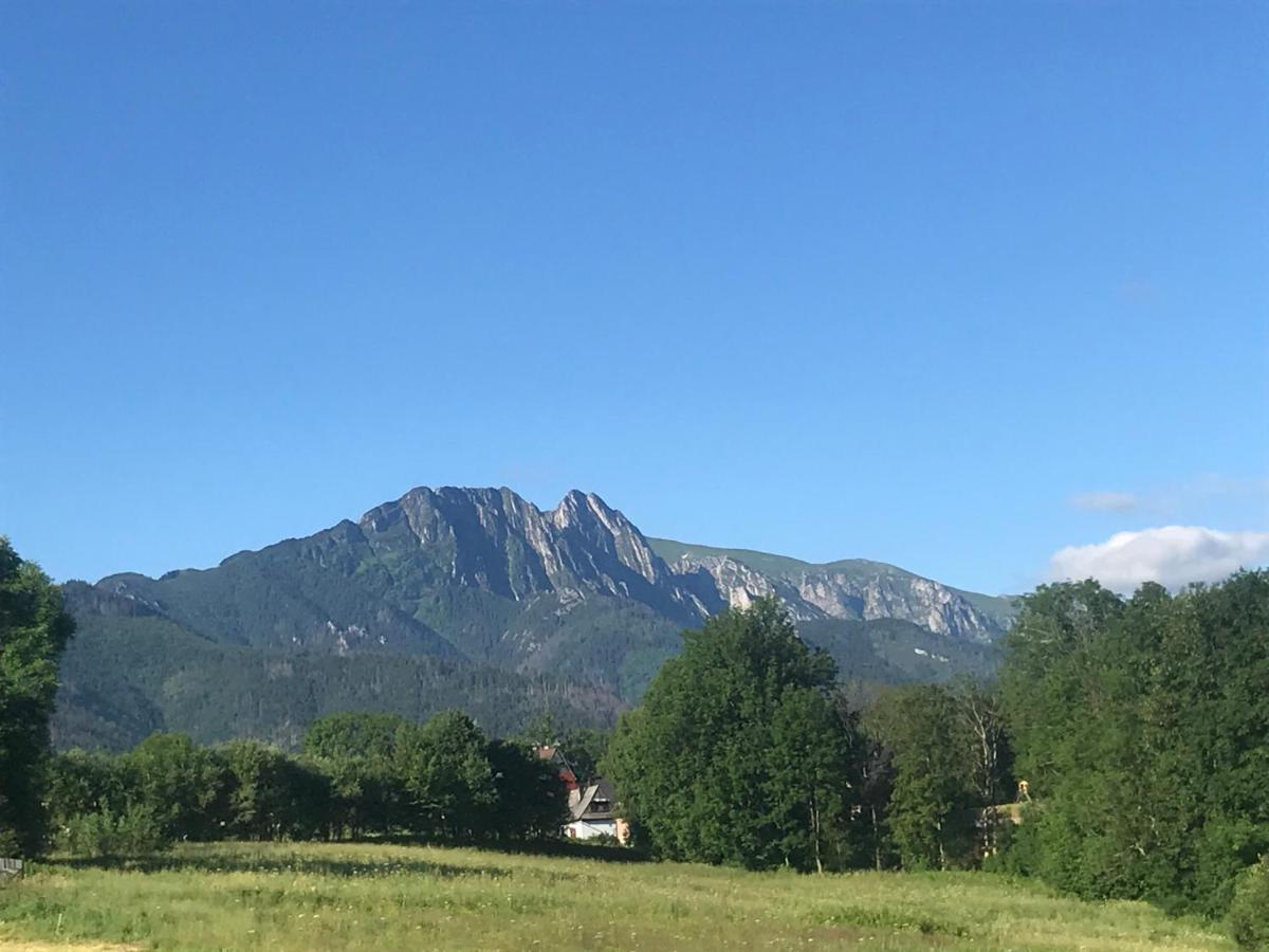 Camping Zakopane Willa Skoczek Oferta Nie Dotyczy Noclegu W Pokoju ,W Namiocie Reczniki Woda Mineralna , Koldra Poduszki Lub Spiwory Eksteriør billede
