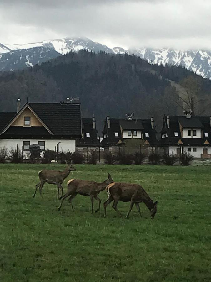 Camping Zakopane Willa Skoczek Oferta Nie Dotyczy Noclegu W Pokoju ,W Namiocie Reczniki Woda Mineralna , Koldra Poduszki Lub Spiwory Eksteriør billede