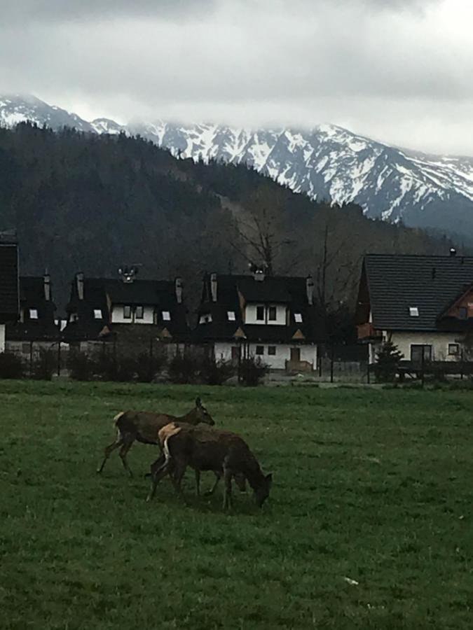 Camping Zakopane Willa Skoczek Oferta Nie Dotyczy Noclegu W Pokoju ,W Namiocie Reczniki Woda Mineralna , Koldra Poduszki Lub Spiwory Eksteriør billede