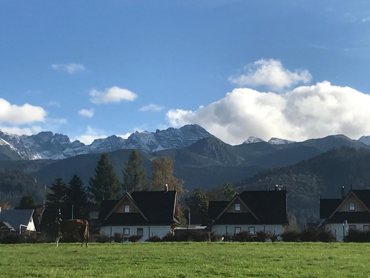Camping Zakopane Willa Skoczek Oferta Nie Dotyczy Noclegu W Pokoju ,W Namiocie Reczniki Woda Mineralna , Koldra Poduszki Lub Spiwory Eksteriør billede
